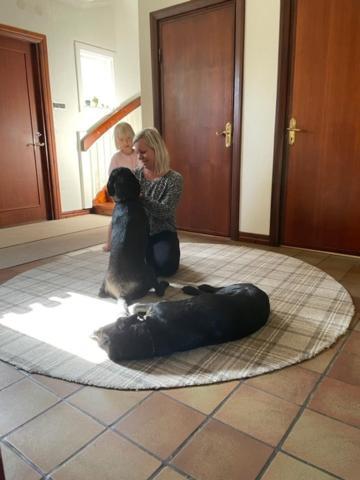 Ankis Bed And Brekfast, Bed & Breakfast Vimmerby